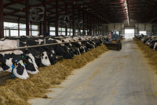 «В недалеком будущем Россия сможет кормить весь мир!», - Бьерн Конор