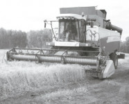 Наступает уборочный черед