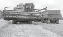 Наступает уборочный черед