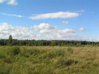 Денис Паслер вручил многодетным семьям Ирбита сертификаты на бесплатные земельные участки