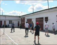 Волейбольные баталии