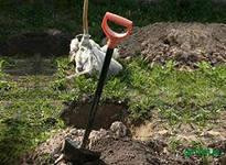 Здесь БУДЕТ город-сад?