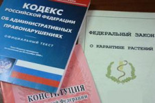 Выявлено нарушение порядка ввоза подкарантинной продукции