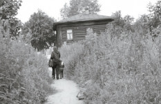 Продираясь сквозь заросли крапивы…