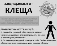 Внимание: опасная зона – Бугры и сады за Грязнушкой