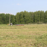 Заготовка кормов в Ирбитском районе