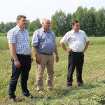 Заготовка кормов в Ирбитском районе