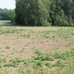 Заготовка кормов в Ирбитском районе