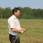 Заготовка кормов в Ирбитском районе