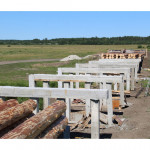 Работы по ремонту моста в селе Скородумском ведутся в соответствии с графиком