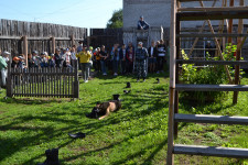 Сотрудники ирбитского СИЗО-2 показали школьникам работу кинологов