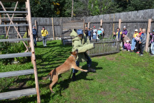 Сотрудники ирбитского СИЗО-2 показали школьникам работу кинологов