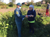 Профилактические рейды в коллективных садах