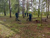 Всероссийская экологическая акция «Зеленая Россия»