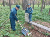 Всероссийская экологическая акция «Зеленая Россия»
