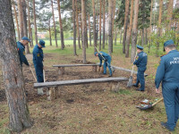 Всероссийская экологическая акция «Зеленая Россия»