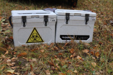 В Ирбитском районе обнаружены трупы свиней