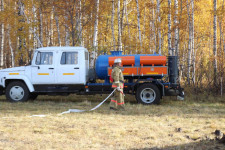 В Ирбитском районе обнаружены трупы свиней