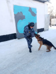 Кинологи ирбитского СИЗО-2 показали почти цирковые номера детям с ограниченными возможностями здоровья