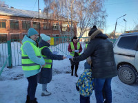 Родительская общественность Ирбита и Ирбитского района за безопасные дороги