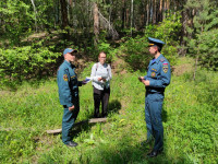 Профилактический рейд в лесных массивах