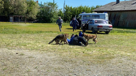 В Ирбите сотрудники полиции вместе с детьми отметили начало лета и День защиты детей