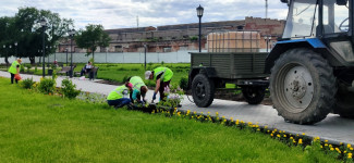 47 000 цветов будет высажено на общественных территориях города Ирбита