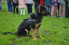 В Ирбите в детском саду № 9 при участии сотрудников полиции прошла квест-игра по Правилам дорожного движения