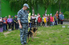 В Ирбите в детском саду № 9 при участии сотрудников полиции прошла квест-игра по Правилам дорожного движения