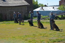В Ирбите сотрудники полиции вместе с детьми отметили начало лета и День защиты детей