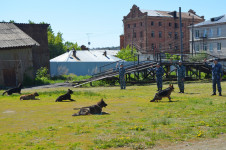 В Ирбите сотрудники полиции вместе с детьми отметили начало лета и День защиты детей