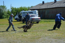В Ирбите сотрудники полиции вместе с детьми отметили начало лета и День защиты детей