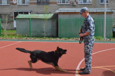 В Ирбите дошколята вместе с полицейскими изучают ПДД