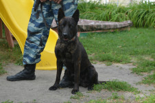 В Ирбите сотрудники полиции и общественники проводят акцию «Лето с Общественным советом»