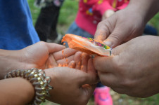 В Ирбите сотрудники полиции и общественники проводят акцию «Лето с Общественным советом»