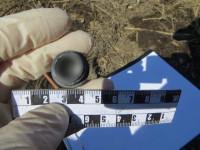 В Ирбите по материалам полиции суд вынес приговор в деле по факту незаконного приобретения и хранения наркотических средств, совершенного в крупном размере