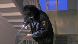 До десяти лет тюрьмы. Полиция Нижнего Тагила задержала студента, помогавшего мошенникам грабить пенсионеров