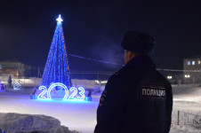 Охрана общественного порядка в новогоднюю ночь