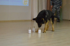 Ирбитские полицейские принимают участие в акции «Единый день профилактики»