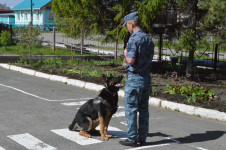 Ирбитские полицейские провели профилактическую встречу со студентами Политехникума