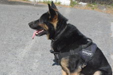 Ирбитские полицейские провели профилактическую встречу со студентами Политехникума