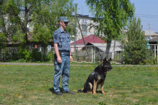 В Ирбите сотрудники полиции познакомили школьников с профессией полицейского