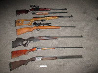 Отделом дознания полиции Ирбита завершено расследование уголовного дела о незаконной охоте