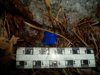 Ирбитский районный суд по материалам полиции начал рассмотрение уголовного дела в отношении местной жительницы, совершившей незаконное приобретение, хранение и сбыт наркотических средств