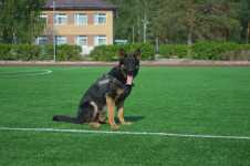 Ирбитские полицейские посетили детей, отдыхающих на первой смене в загородном лагере «Салют»