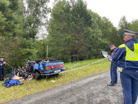 В Ирбитском районе водитель уснул за рулем, врезался в дерево и погиб