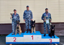 Кинологи из ОВД Ирбита приняли участие в Чемпионате Главного управления МВД России по Свердловской области
