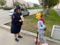 Профилактика и предупреждение ДТП с юными участниками дорожного движения