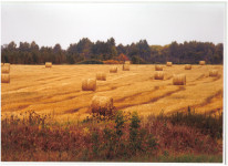 Природный пейзаж. 1 место Шмакова Елизавета