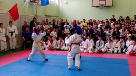 Победы ирбитских бойцов